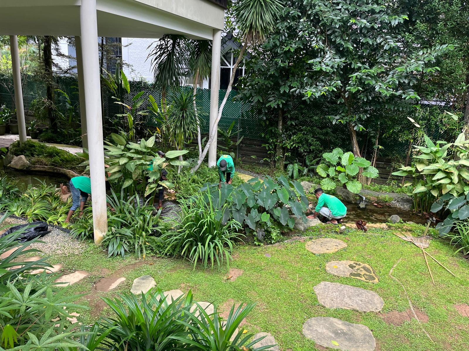 Professional Weeding Services